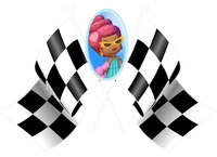 ShirleyMSR