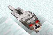 Angry wolf