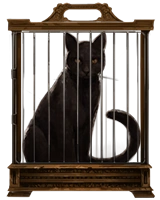 PM Gato Negro