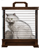 PM Gato Blanco