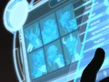 Genomorphs.png