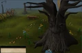 Argentodead.png