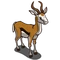 Springbok-icon
