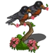 American Robin-icon