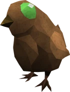 Chocochick