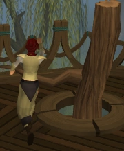Gnome agility5