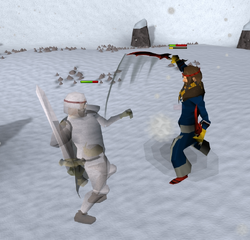 Kamil fight