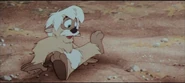 Blackcauldron742