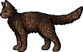 Sparrowfeather (DF).rogue.png