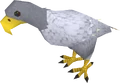 Polar eagle.png