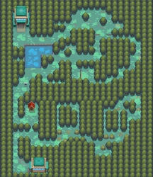 Ilex Forest HGSS