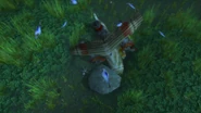 Crashed Plane