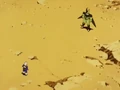 Cell announces tournament