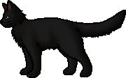 Shrewtooth.rogue