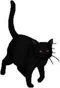 Nightcloud.queen
