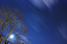 Starry night
