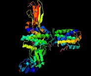 4DKD.pdb