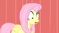 Dizzy Fluttershy S2E19