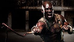 Oenomaus-whipping