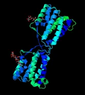 4DKCp.pdb