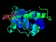 4DKC.pdb