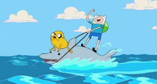 Ride a dolphin