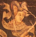 Callidora Black.jpg