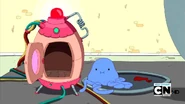 Jellyfish 1