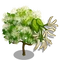 Fringe Tree-icon