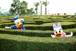 DonaldDuck