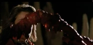 Faceburster 2