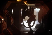 TheAlienprofile