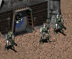 Bos initiate
