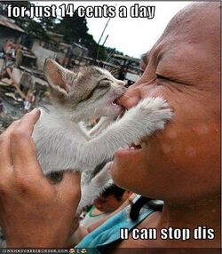Funny-pictures-15-cents-stop
