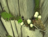 WreckoftheSkyShark1