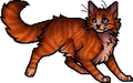 Flametail.apprentice