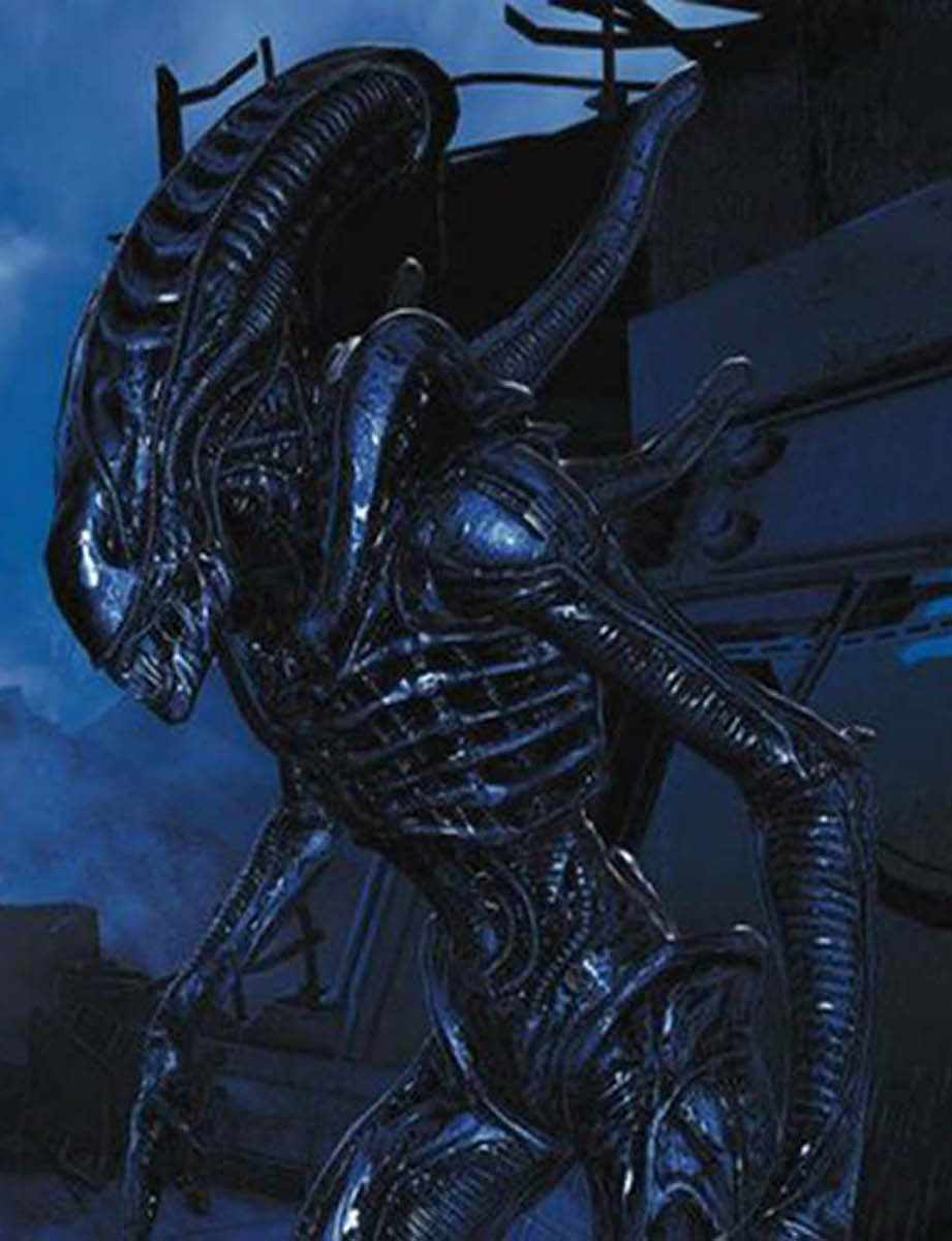 Image Xenomorphprofile.jpg Alien Anthology Wiki The Alien and