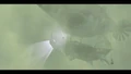 IntotheMists2