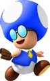 ToadbertMB3DS