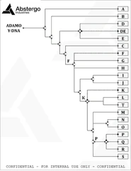 Y chromosal adam