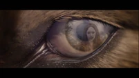 Jacob-eye-Renesmee-BD