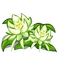 Night Cereus-icon