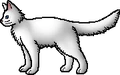 Snowy.rogue.png