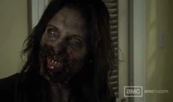 The-Walking-Dead-Webisodes-Season-1-Video.jpg