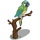Miligold Macaw-icon