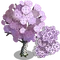 Giant Lace Tree-icon