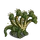 Hydra