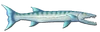 Fish 5