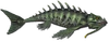 Fish 9