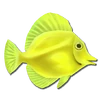 Fish 15